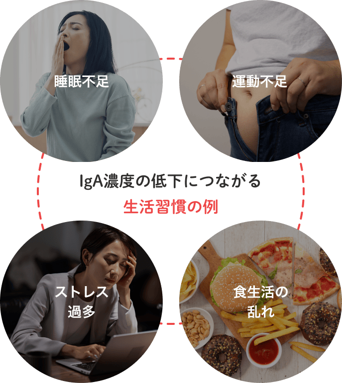 IgA濃度の低下につながる 生活習慣の例